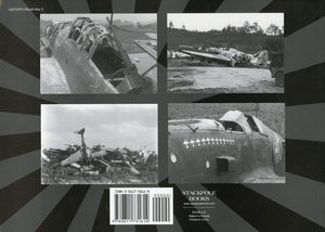 Meatballs and Dead Birds: A Photo Gallery of Destroyed Japanese Aircraft in World War II,Used