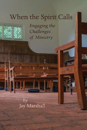When the Spirit Calls: Engaging the Challenges of Ministry,Used