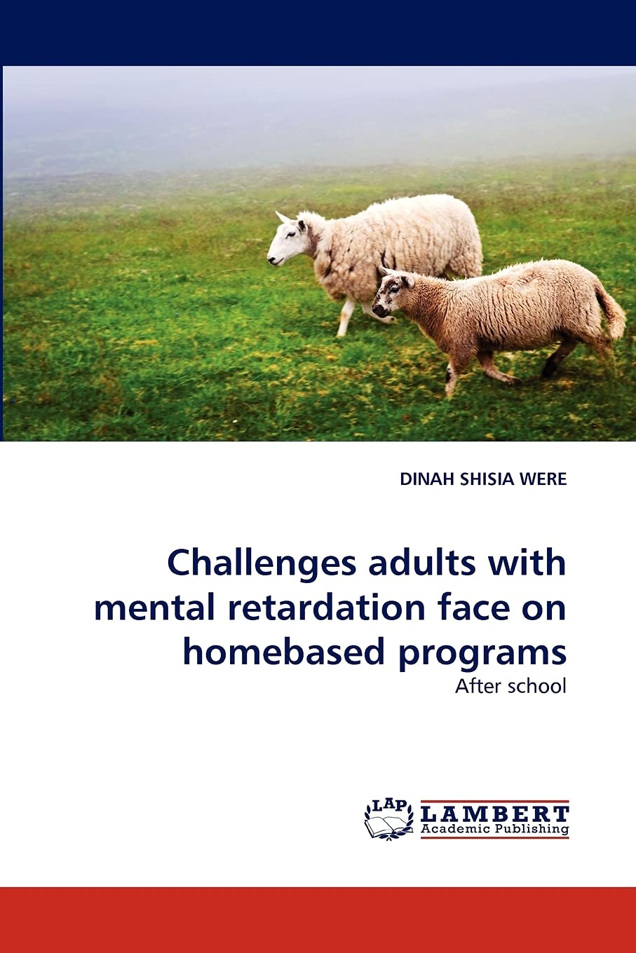 Challenges adults with mental retardation face on homebased programs: After school,Used