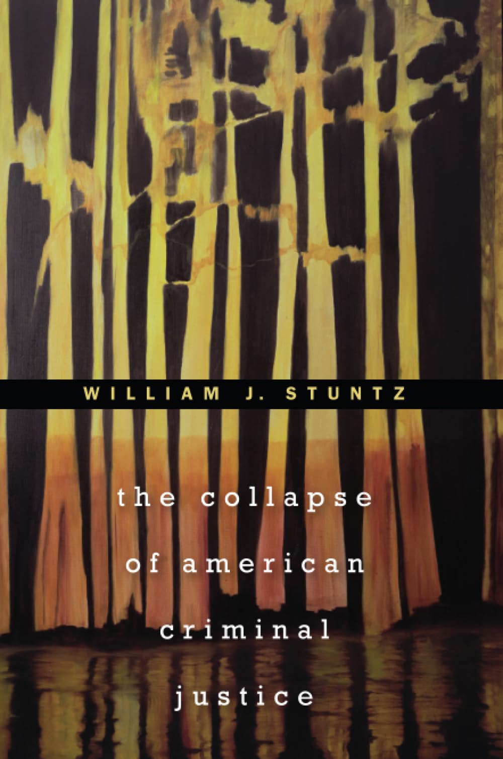 The Collapse Of American Criminal Justice,New