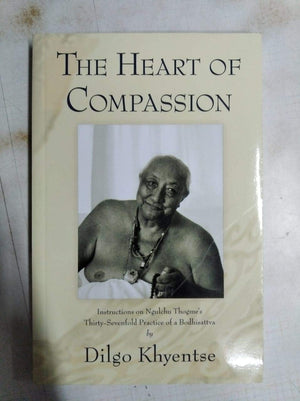 The Heart of Compassion: Instructions on Ngulchu Thogmes ThirtySevenfold Practice of a Bodhisattva,Used