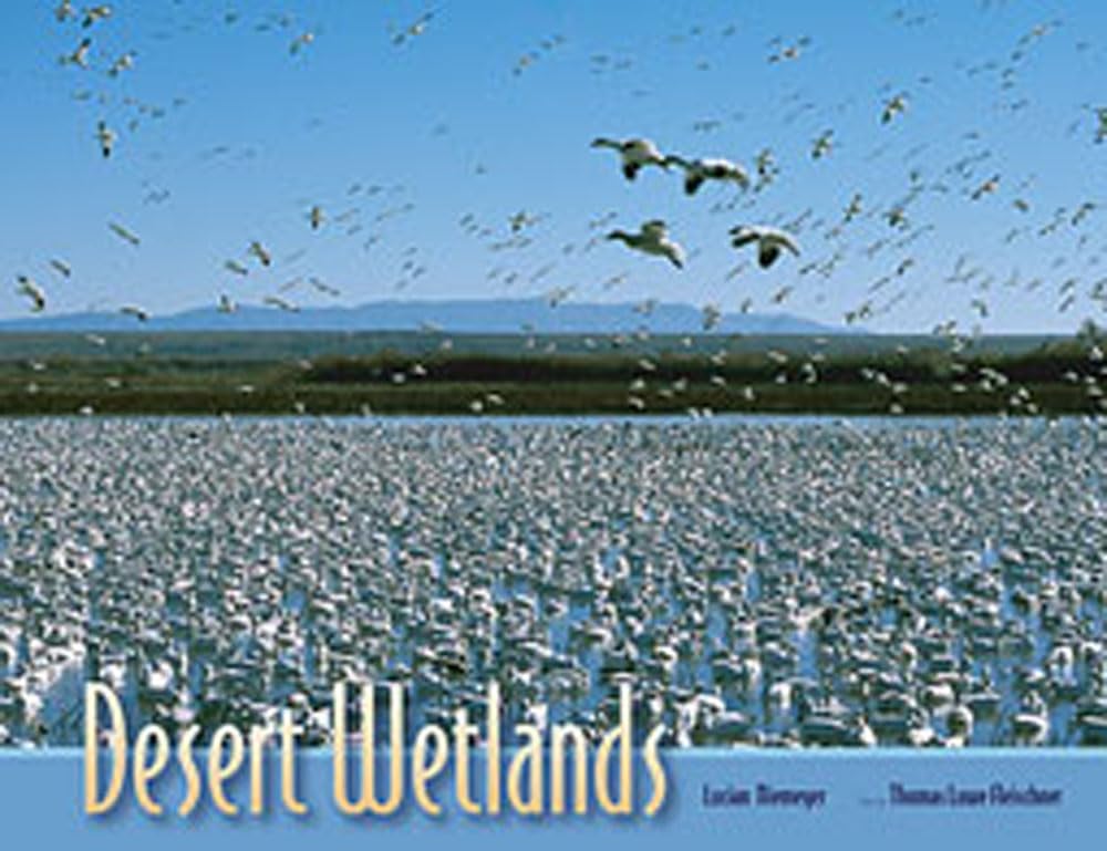 Desert Wetlands,Used