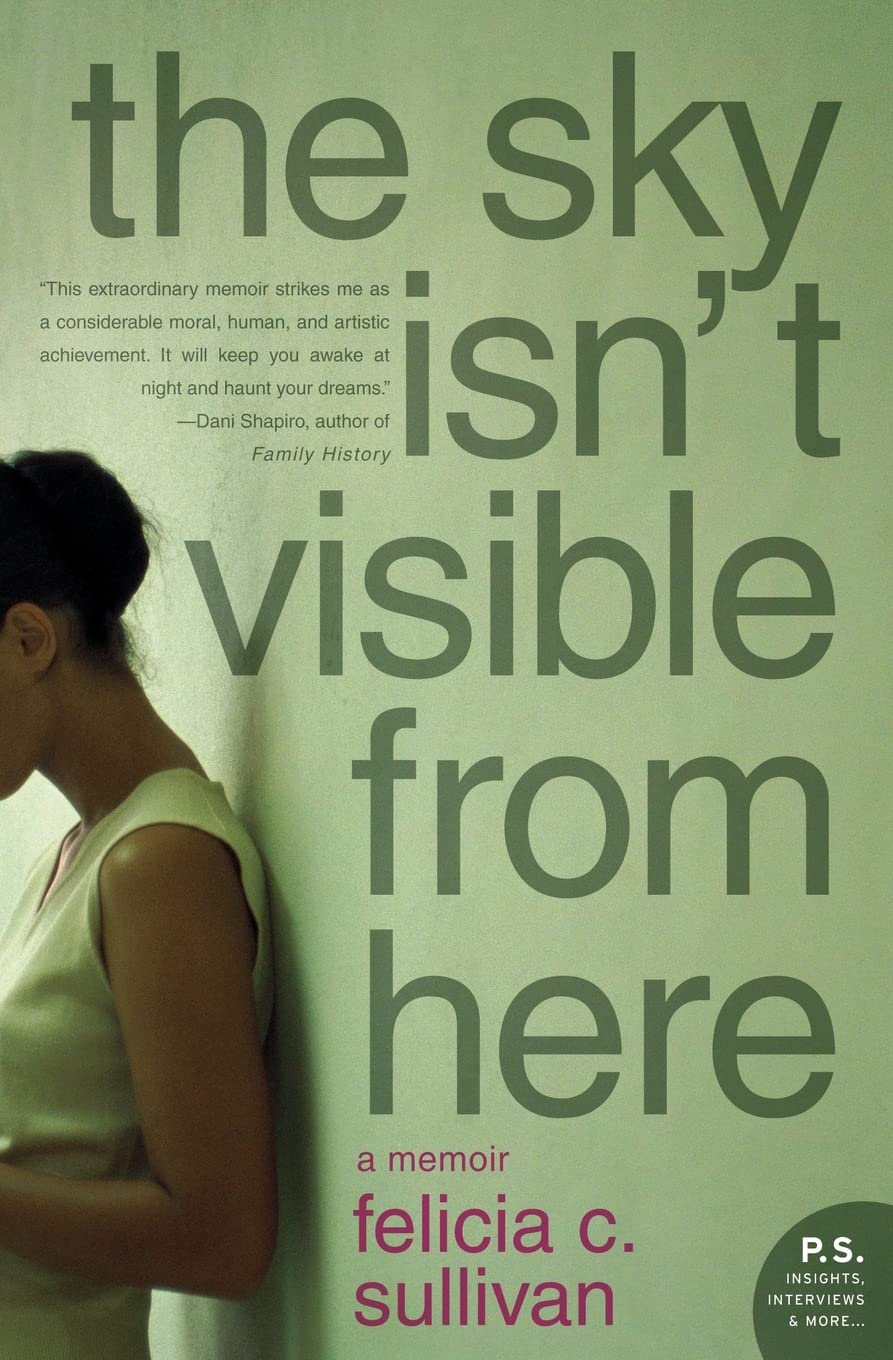 The Sky Isn't Visible from Here: A Memoir,Used