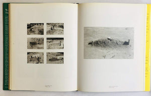 Walker Evans: The Hungry Eye,New