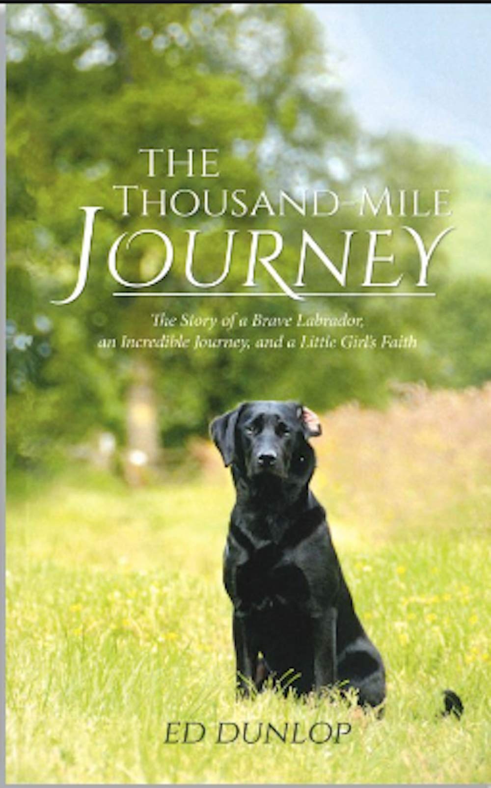 The 1,000Mile Journey: The Story of a Brave Labrador, an Incredible Journey and a Little Girl's Fai,Used