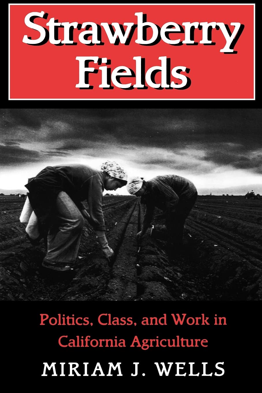 Strawberry Fields: Politics, Class, and Work in California Agriculture (The Anthropology of Contemporary Issues),New