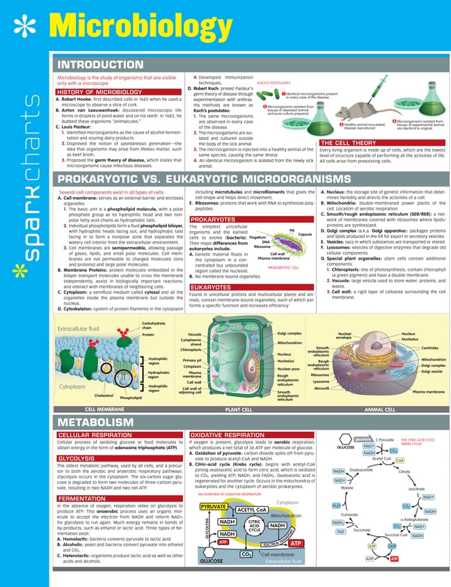 Microbiology SparkCharts (Volume 42),Used
