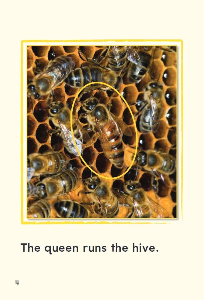 A Bee's Life (TIME FOR KIDS Nonfiction Readers),Used