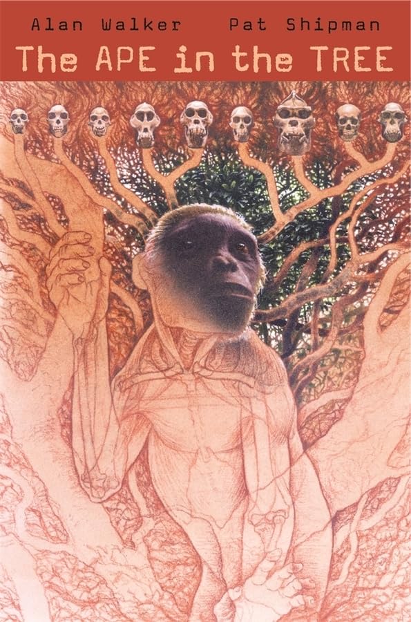 The Ape In The Tree: An Intellectual And Natural History Of Proconsul,New