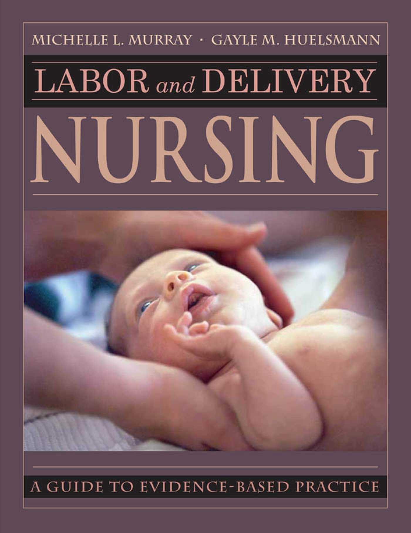 Labor and Delivery Nursing,Used