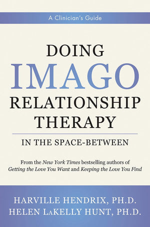 Doing Imago Relationship Therapy in the SpaceBetween: A Clinician's Guide,Used