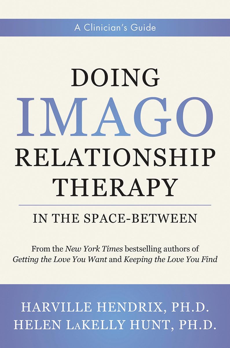 Doing Imago Relationship Therapy in the SpaceBetween: A Clinician's Guide,Used