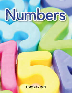 Numbers Lap Book (Early Literacy),Used