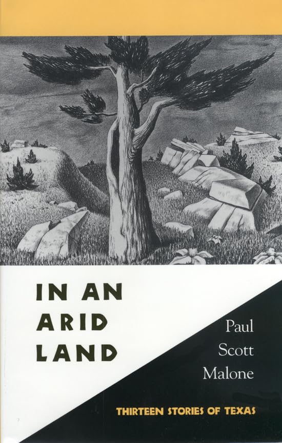 In An Arid Land: Thirteen Stories Of Texas,Used