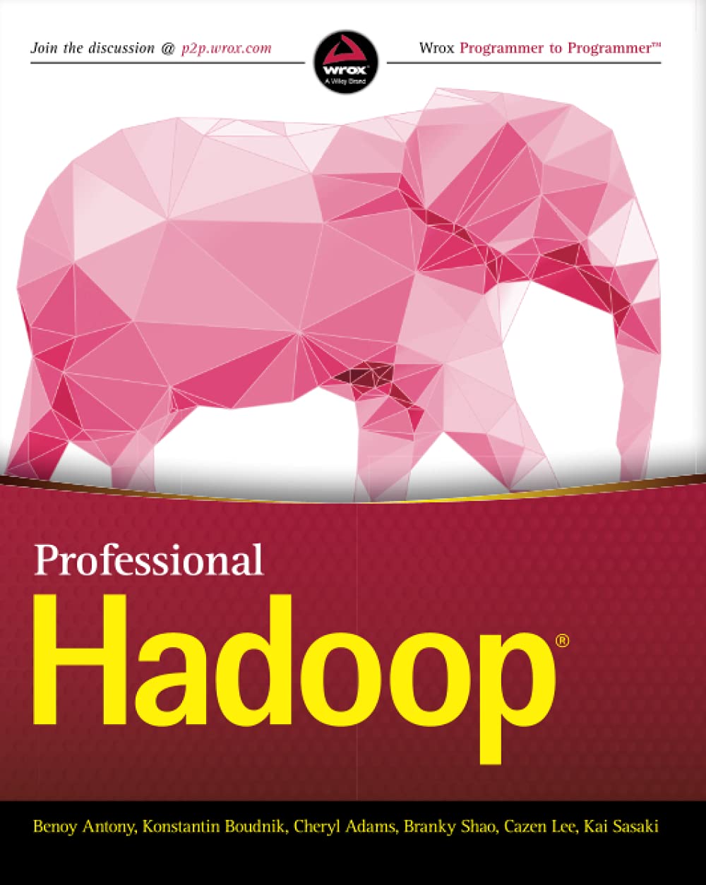 Professional Hadoop,Used