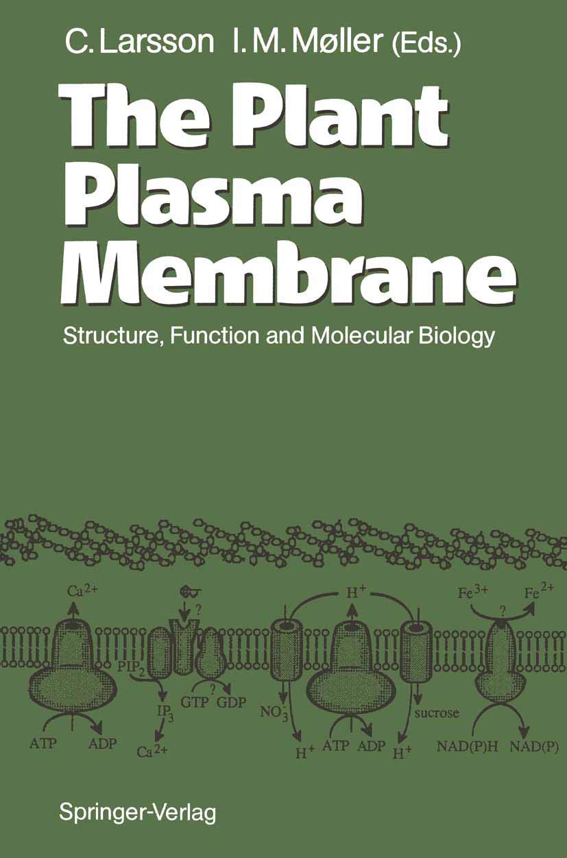 The Plant Plasma Membrane: Structure, Function And Molecular Biology,Used