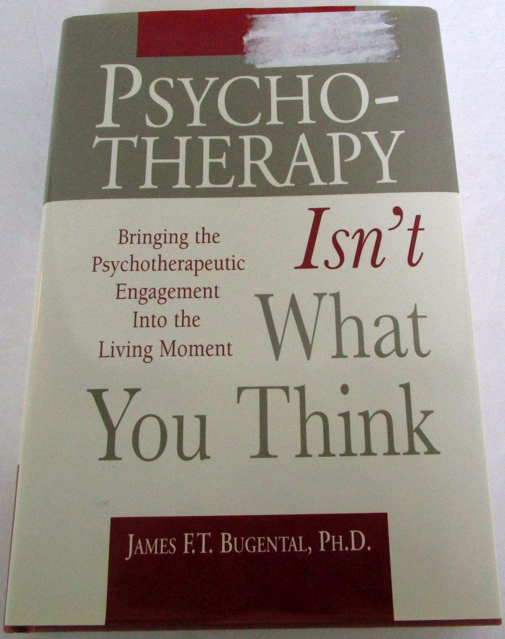 Psychotherapy Isn't What You Think: Bringing the Psychotherapeutic Engagement into the Living Moment,New