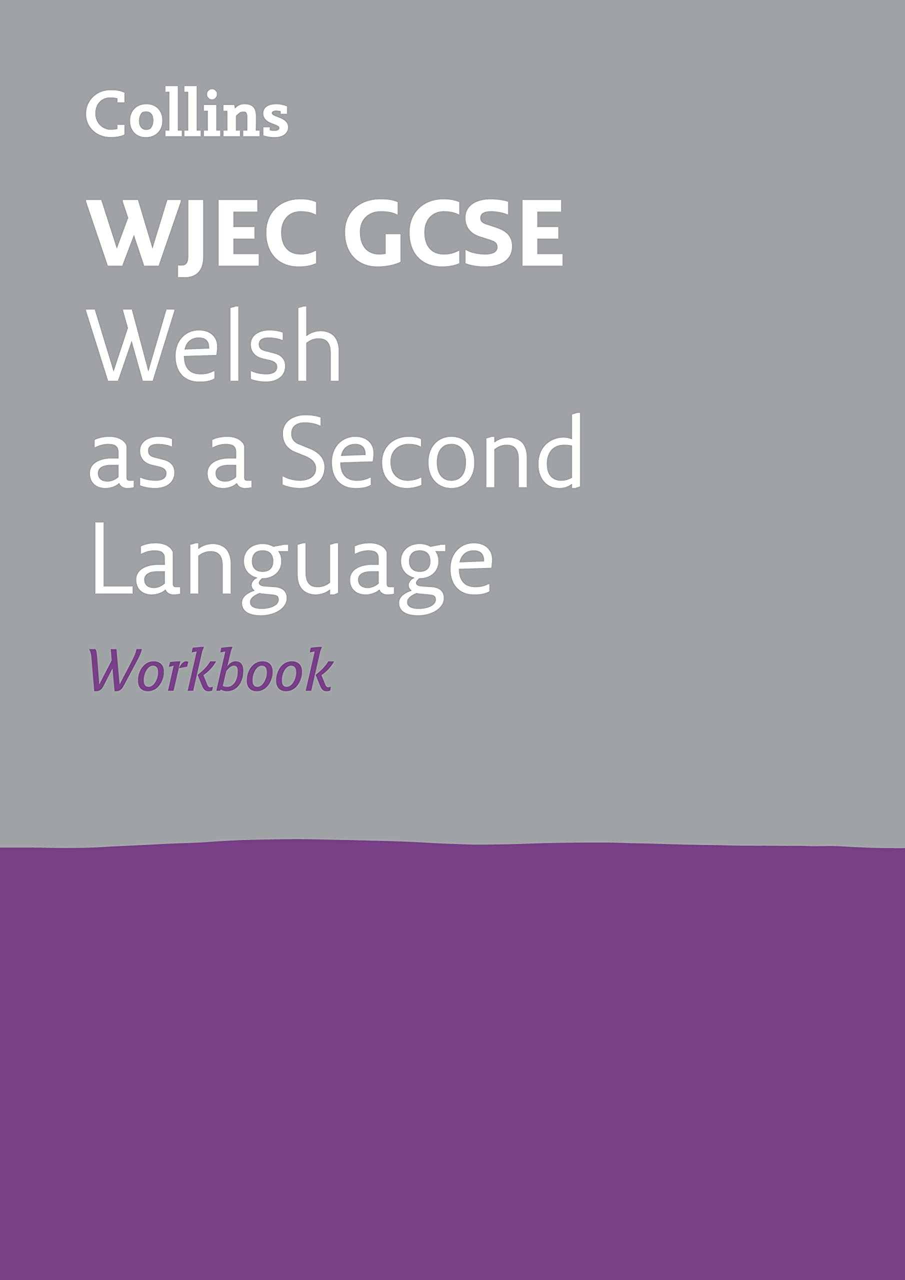 WJEC GCSE 91 Welsh Second Language Workbook (Collins GCSE 91 Revision) (English and Welsh Edition),Used