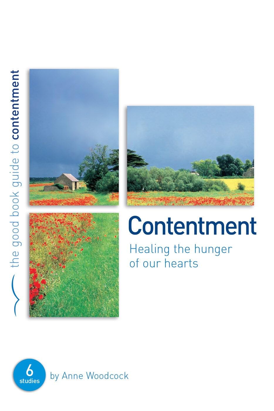 Contentment: Healing the hunger of our hearts (Good Book Guides),Used