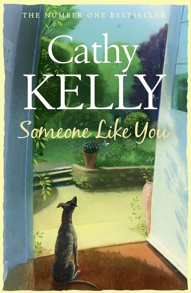SOMEONE LIKE YOU PB,Used