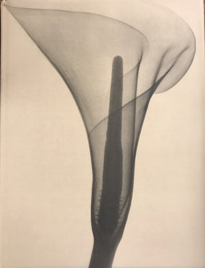 Dr. Dain L.Tasker (Howard Greenberg Gallery),Used