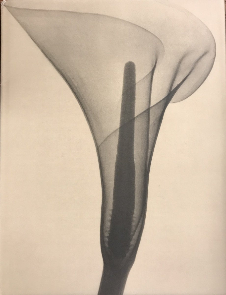 Dr. Dain L.Tasker (Howard Greenberg Gallery),Used