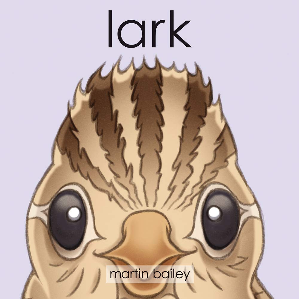 Lark (BigThymeRhyme),Used
