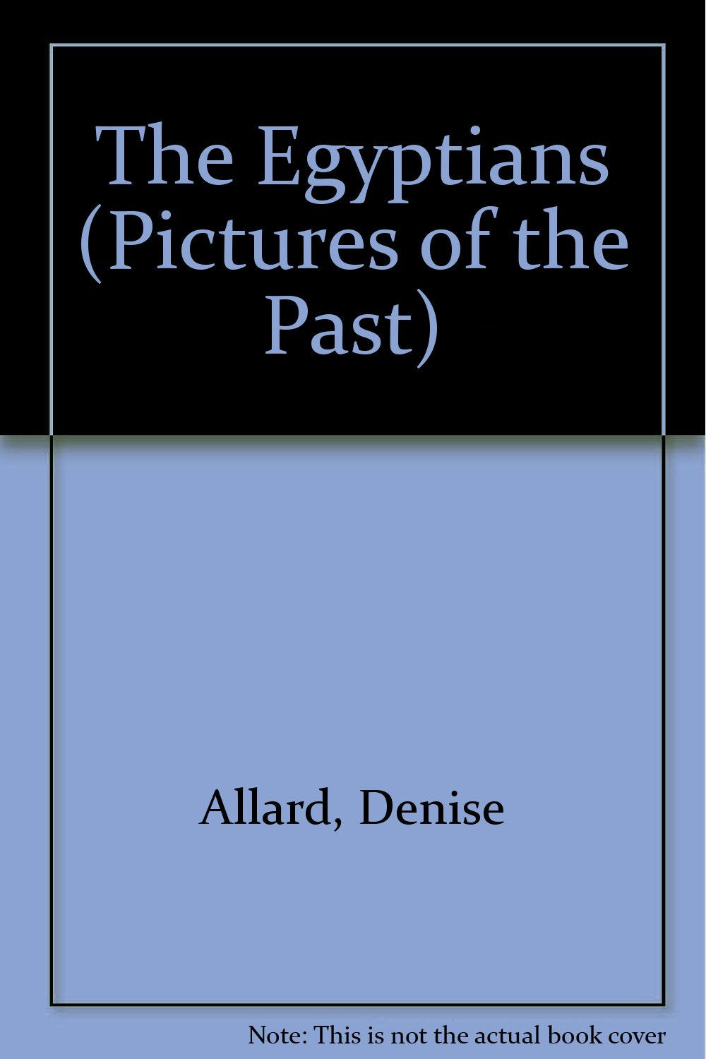 The Egyptians (Pictures of the Past),Used