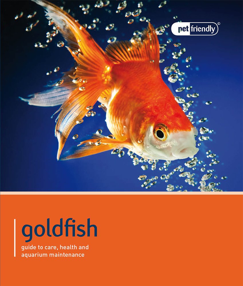 Goldfish (Pet Friendly),Used