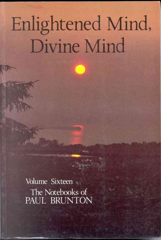 Enlightened Mind, Divine Mind: Notebooks (Volume 16) (Notebooks Of Paul Brunton)-used