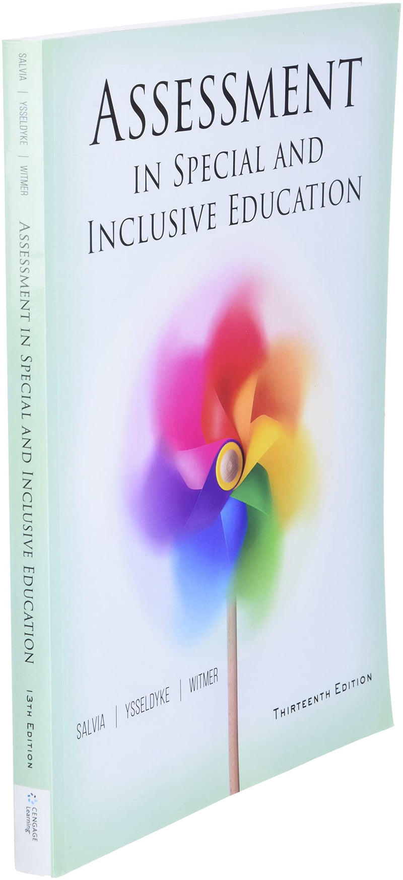 Assessment In Special And Inclusive Education,Used