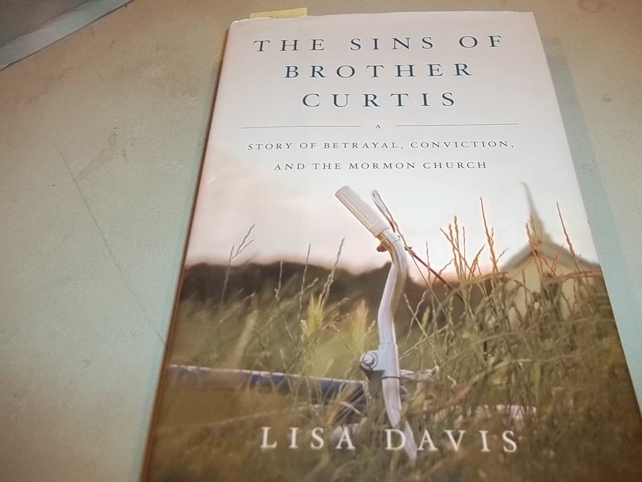 The Sins Of Brother Curtis: A Story Of Betrayal, Conviction, And The Mormon Church