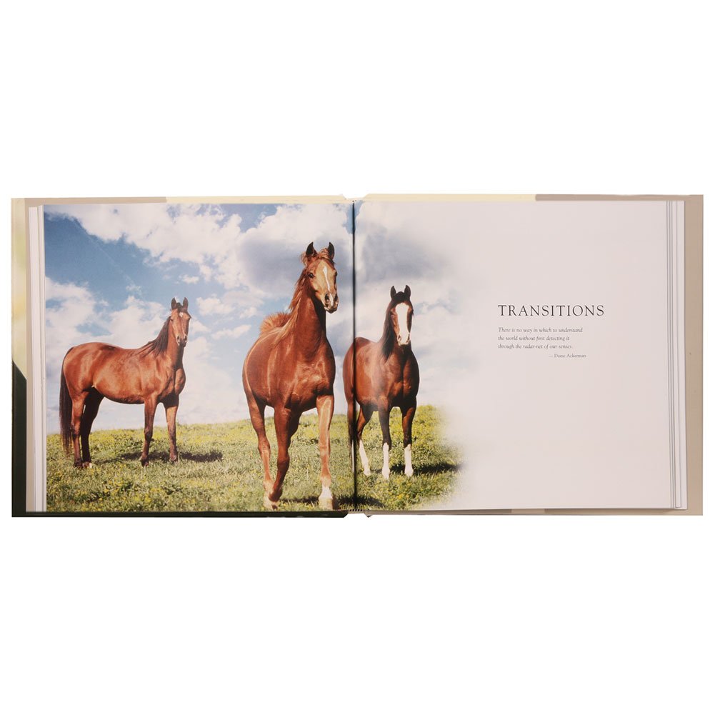 If I Had A Horse: How Different Life Would Be,Used