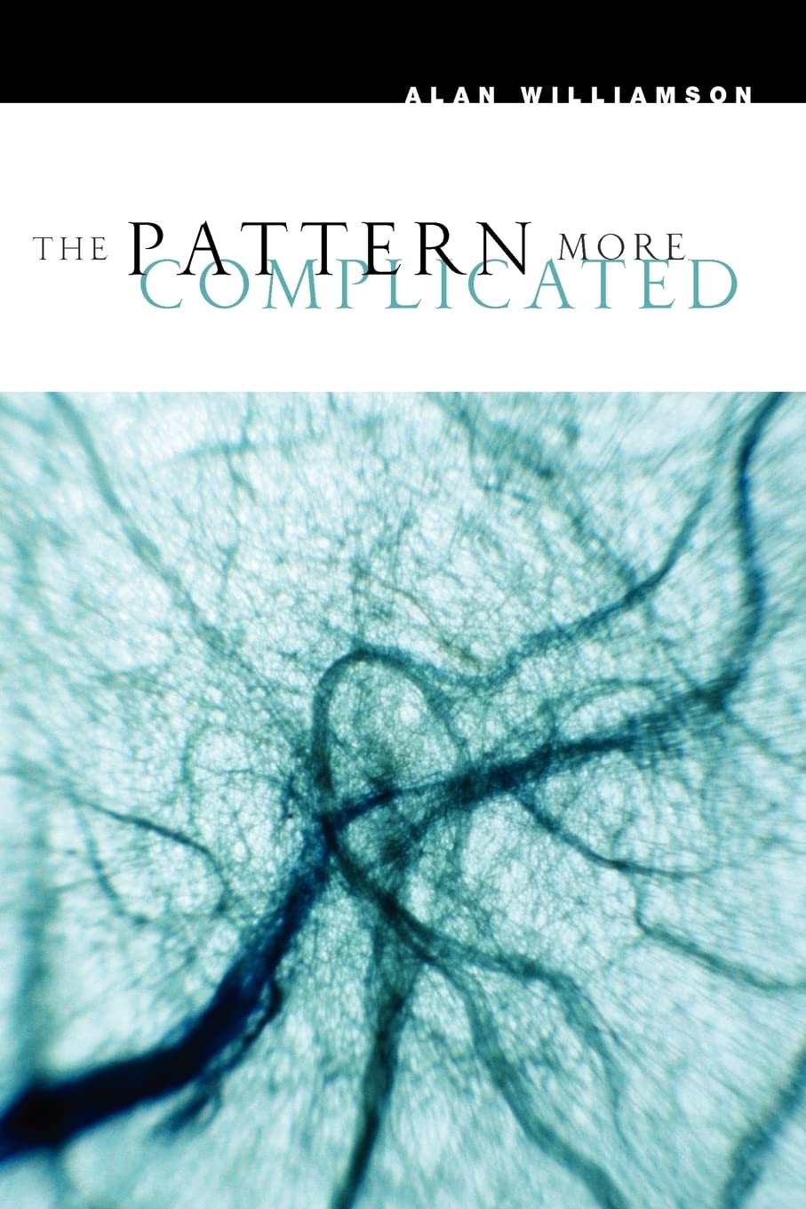 The Pattern More Complicated: New and Selected Poems (Phoenix Poets),Used