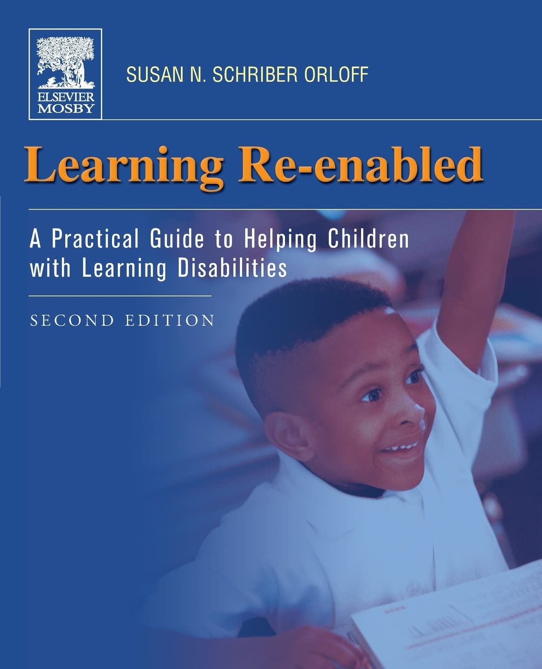Learning ReEnabled: A Practical Guide to Helping Children with Learning Disabilities,Used