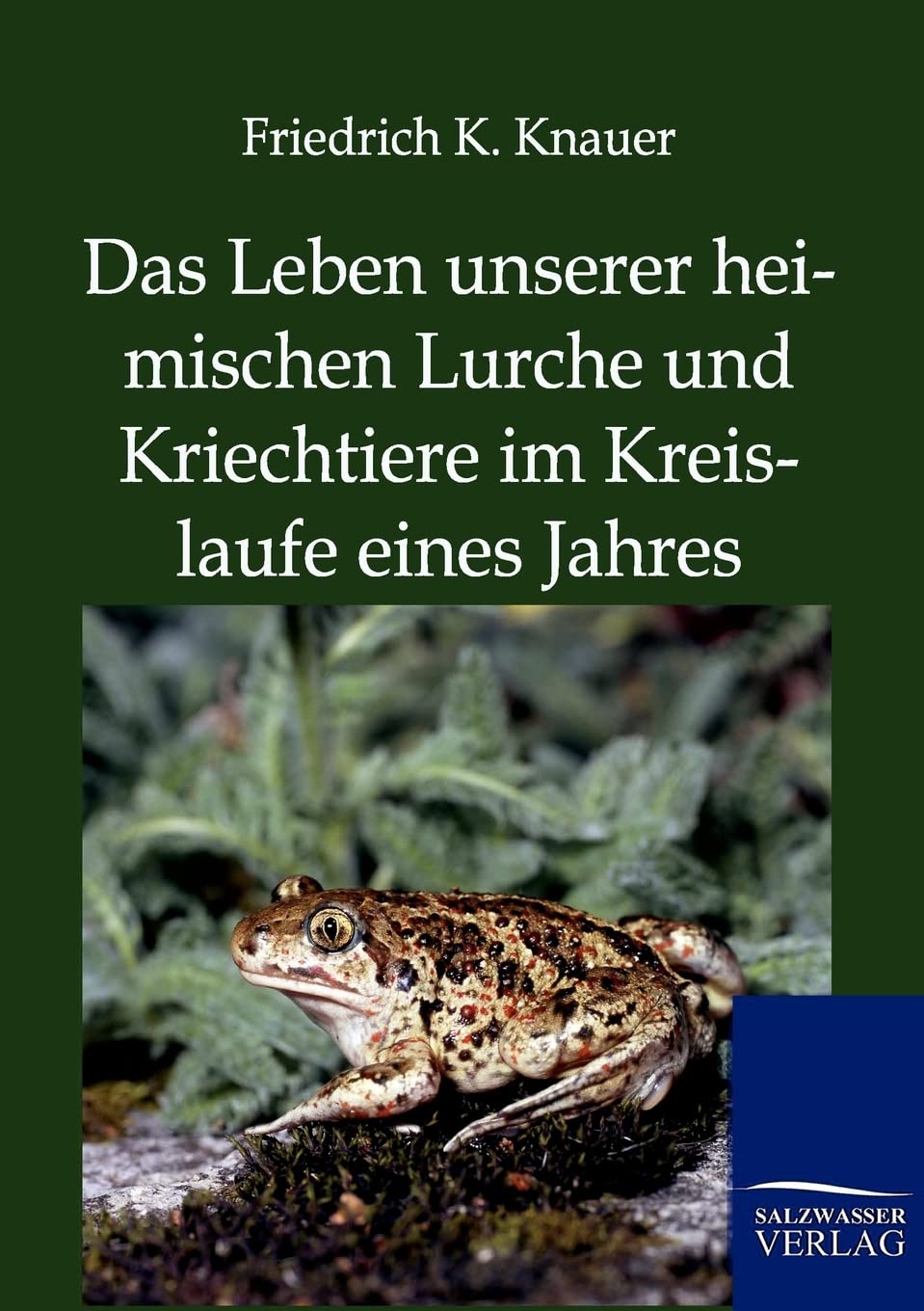 Das Leben Unserer Heimischen Lurche Und Kriechtiere Im Kreislaufe Eines Jahres (German Edition),Used