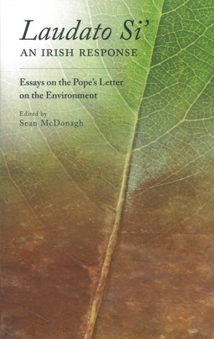Laudato Si: An Irish Response: Essays on the Pope's Letter on the Environment,Used