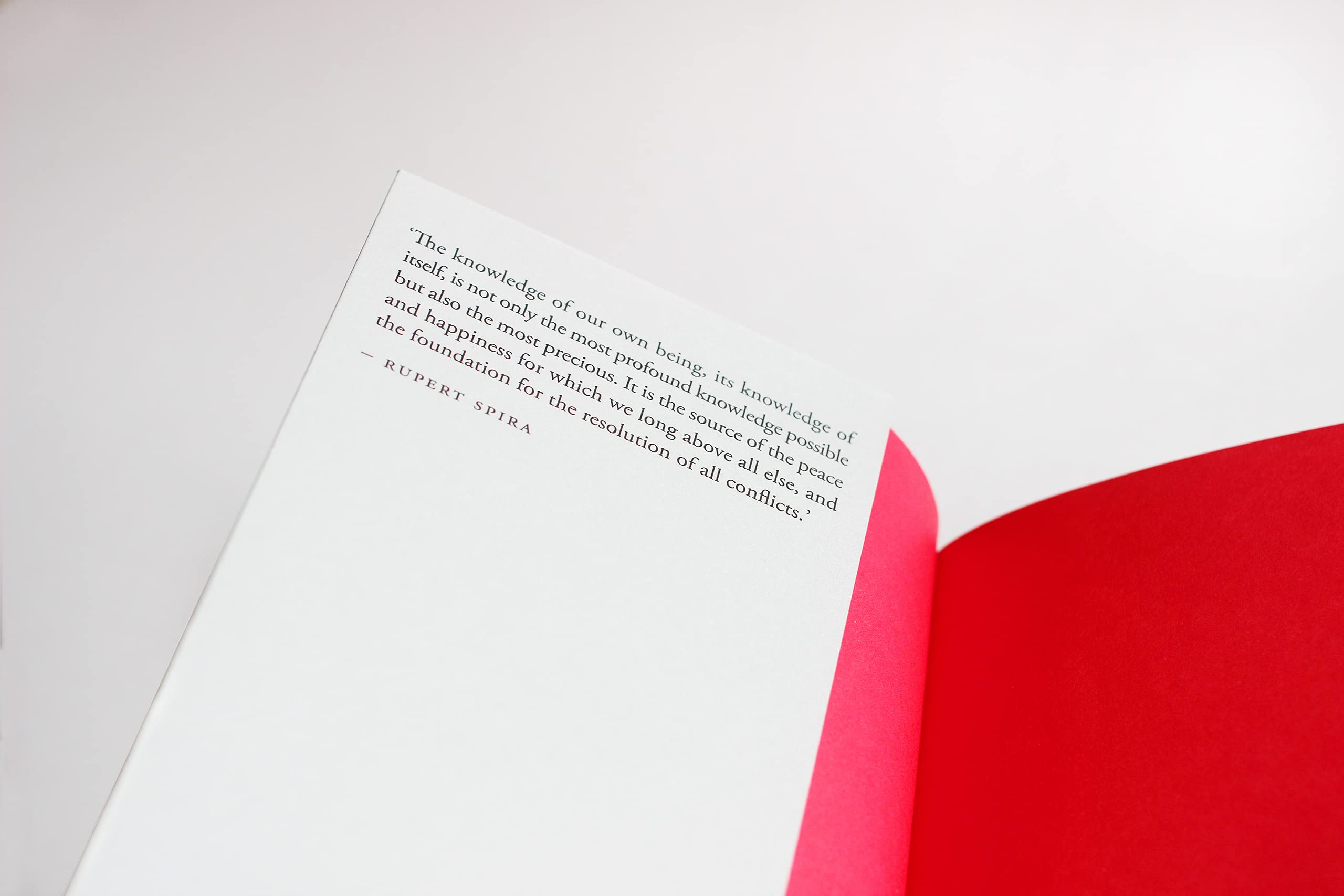 Living on the Earth: Celebrations, Storm Warnings, Formulas, Recipes, Rumors, and Country Dances Harvested by Alicia Bay Laurel.,Used