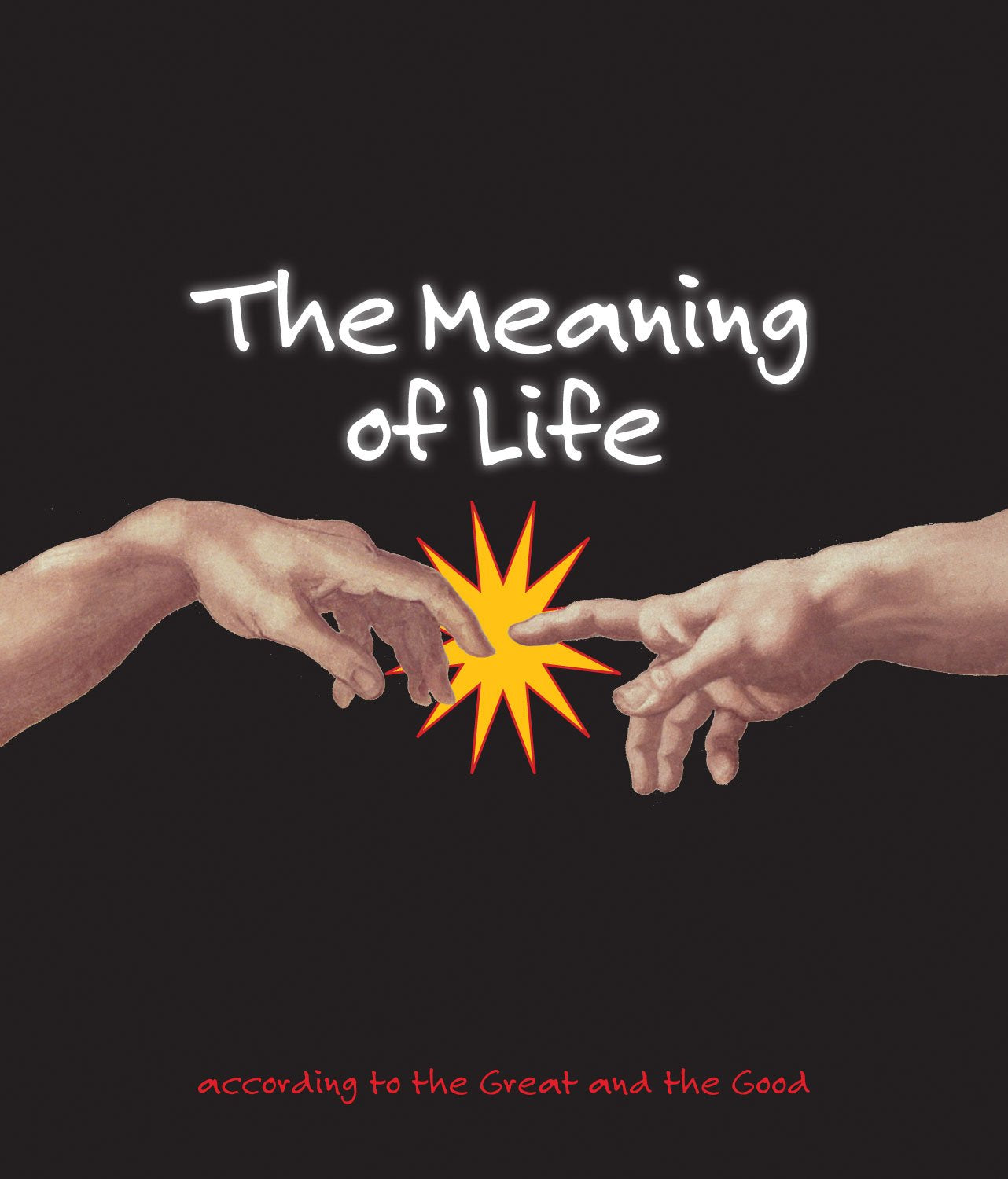 The Meaning of Life: According to the Great and the Good,Used