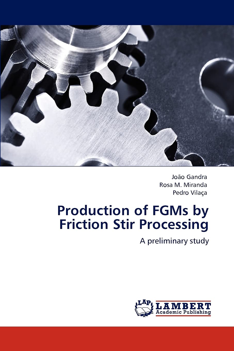 Production of FGMs by Friction Stir Processing: A preliminary study,Used