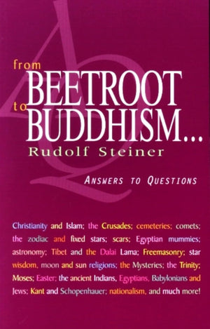 From Beetroot to Buddhism . . .: Answers to Questions (CW 353),Used