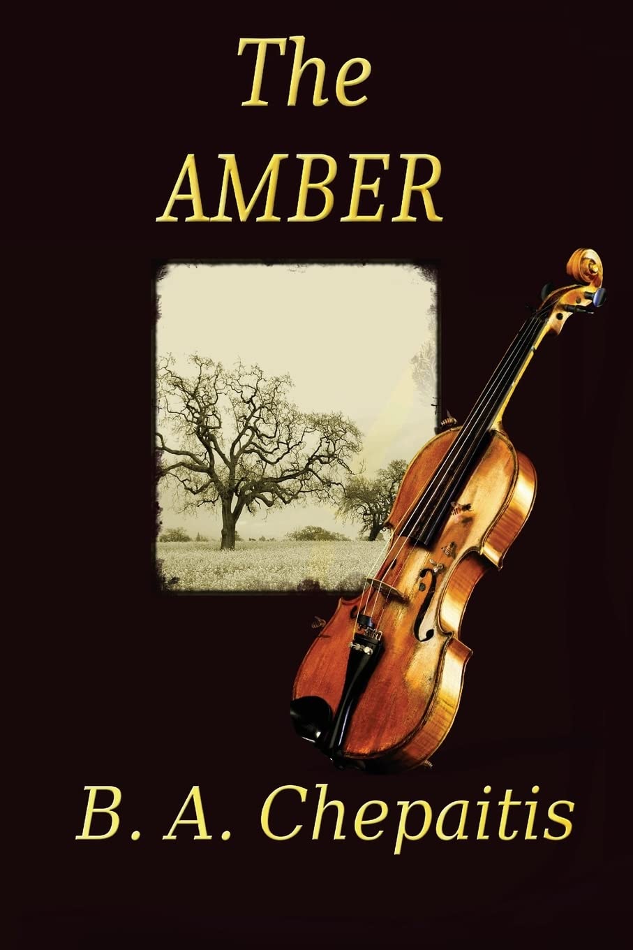 The Amber,Used