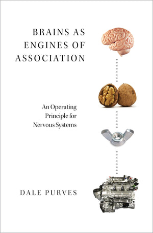 Brains as Engines of Association: An Operating Principle for Nervous Systems,Used