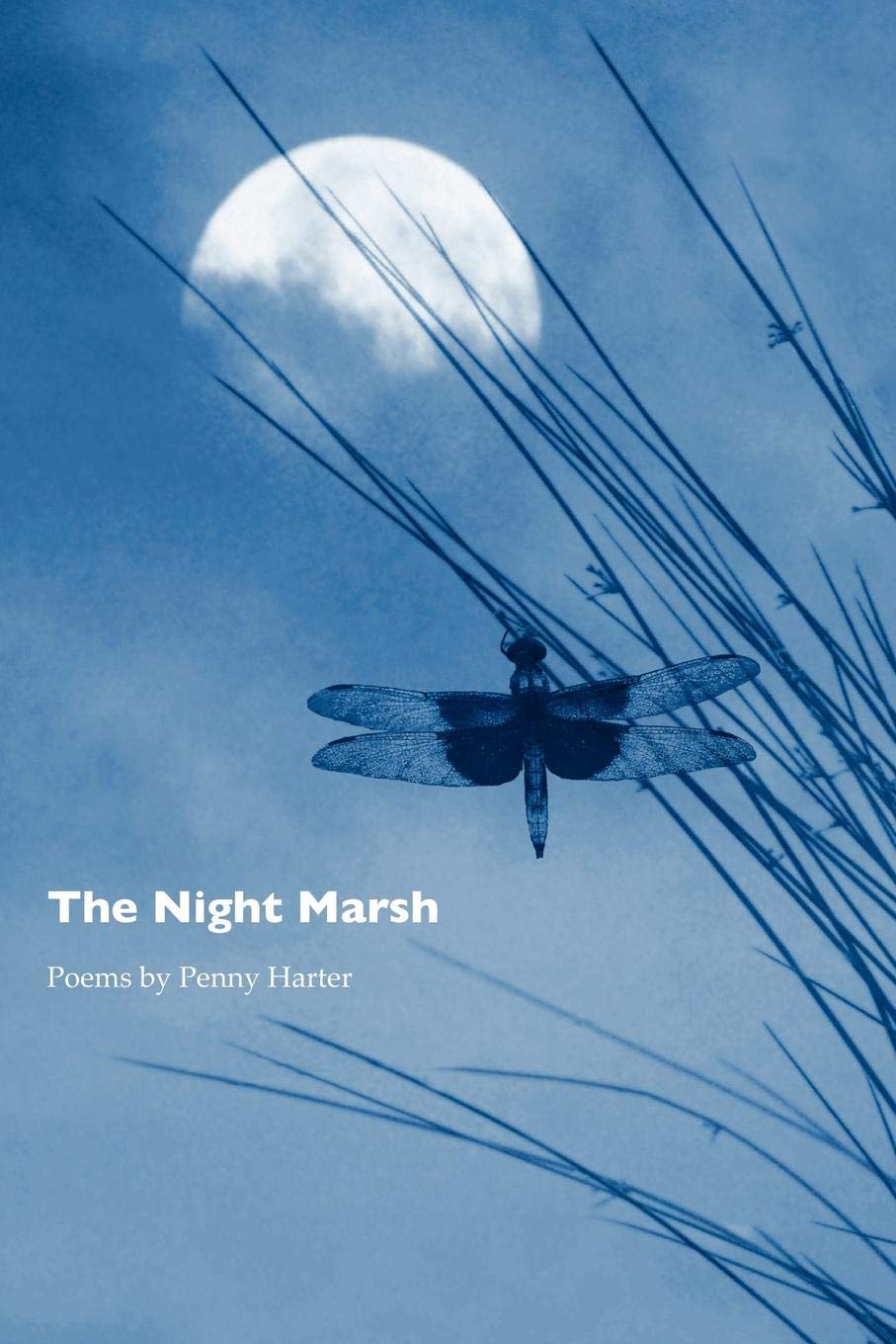 The Night Marsh,Used