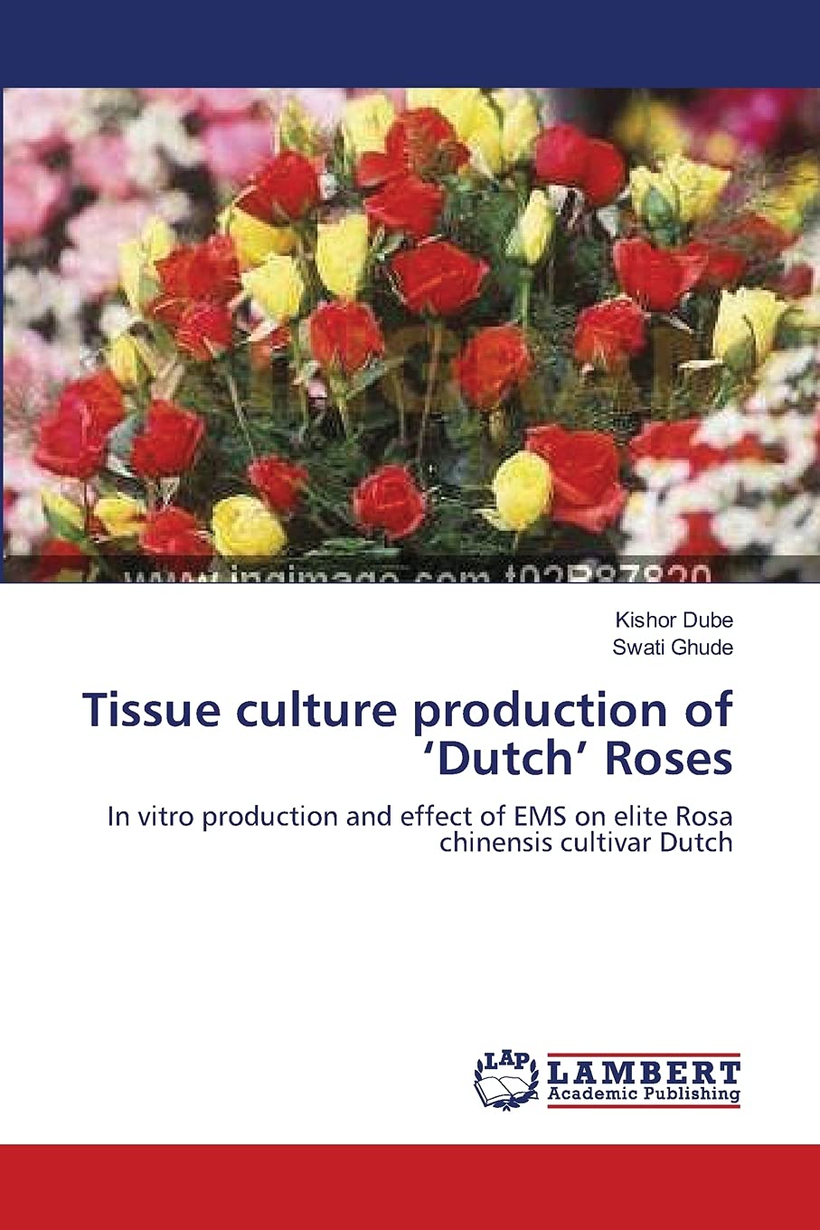 Tissue culture production of Dutch Roses: In vitro production and effect of EMS on elite Rosa chinensis cultivar Dutch,Used