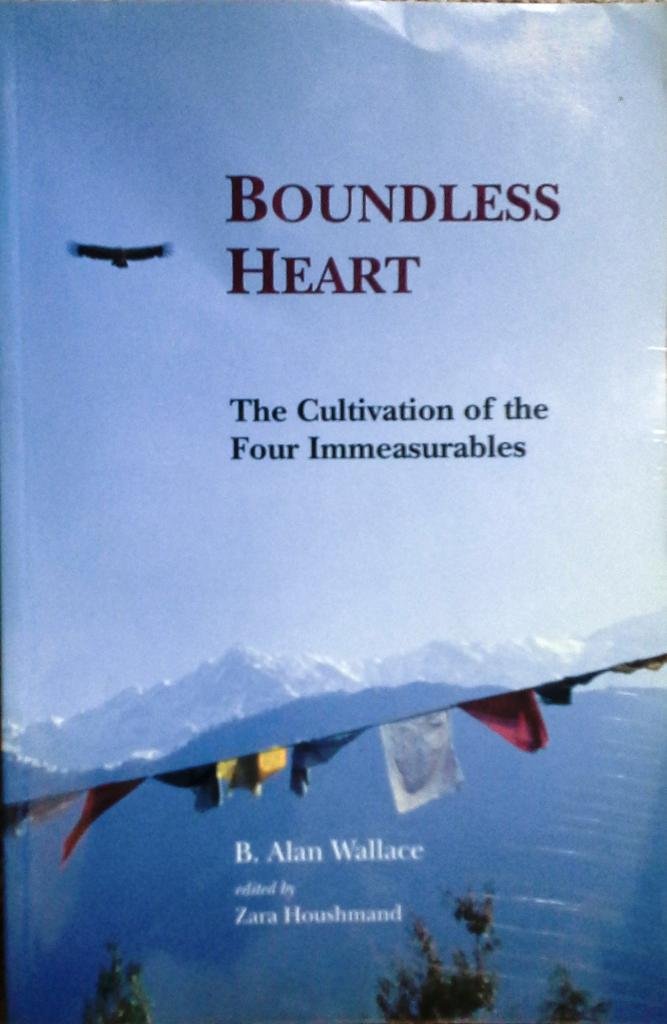 Boundless Heart: The Four Immeasurables,Used