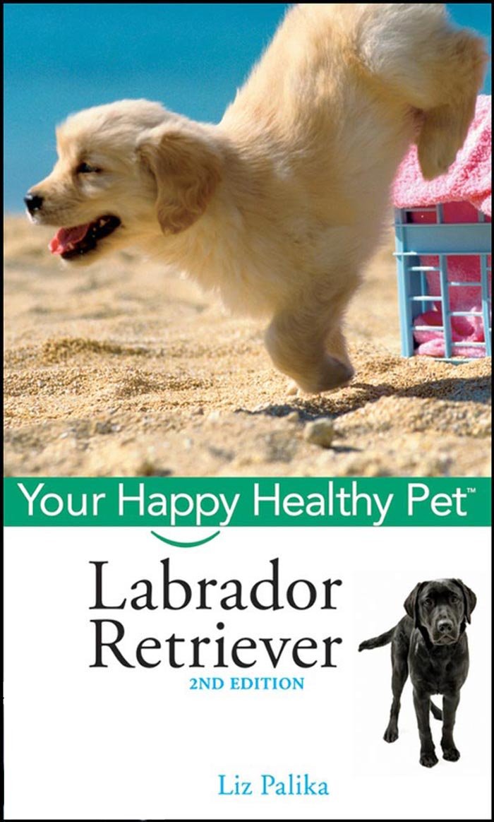 Labrador Retriever: Your Happy Healthy Pet (Your Happy Healthy Pet, 101),Used