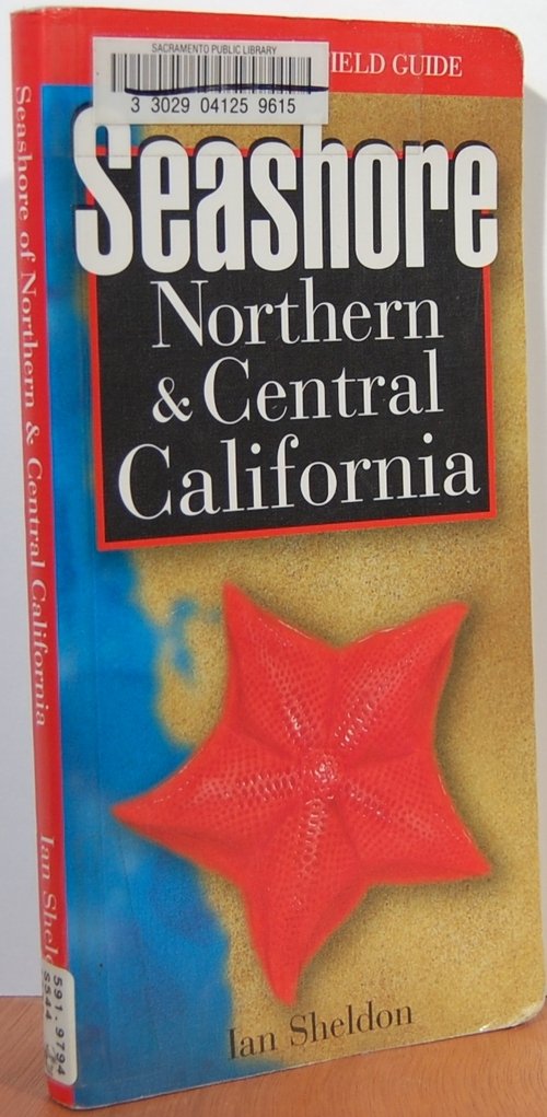 Seashore of Northern and Central California,Used