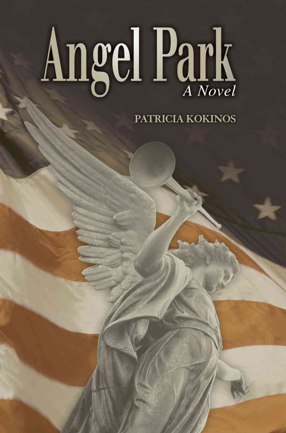 Angel Park: A Novel,Used
