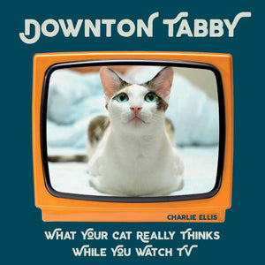 Downton Tabby: What Your Cat Really Thinks While You Watch TV,Used